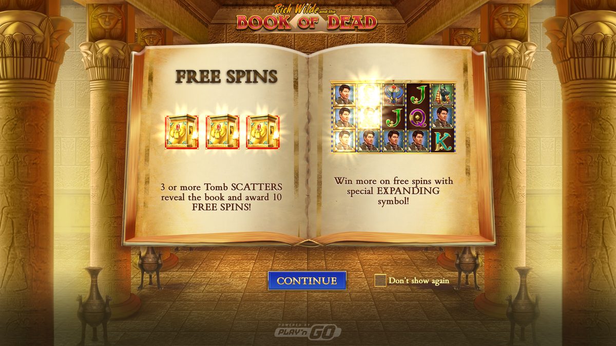 Book of Dead base game