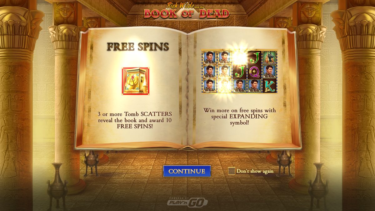 Book of Dead in play
